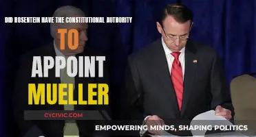 Rosenstein's Appointment of Mueller: Was it Constitutionally Valid?