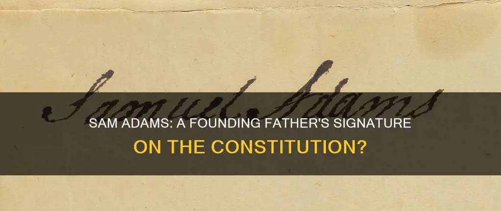 did sam adams sign the constitution