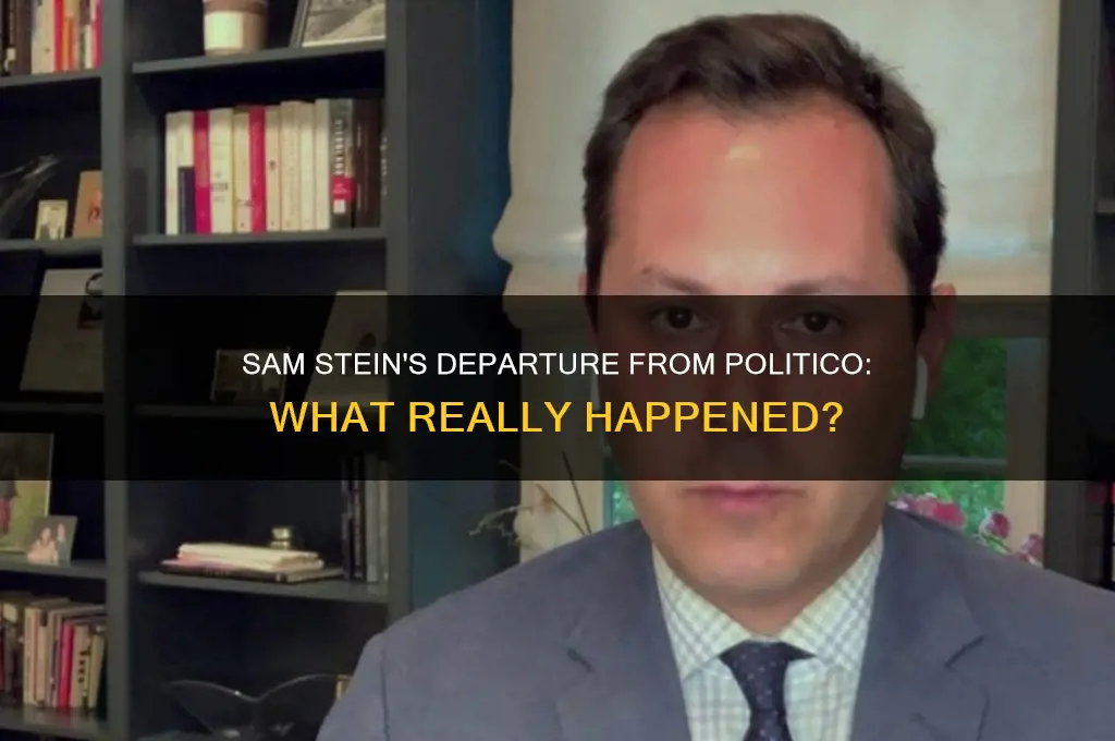 did sam stein leave politico