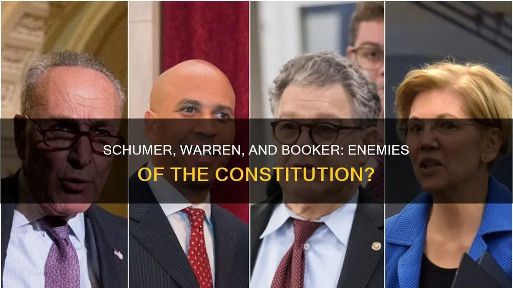 did schumer warren and booker inveigh against the constitution