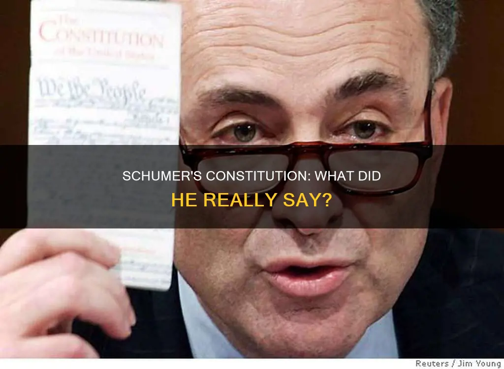 did senator chuck schumer really this about the constitution