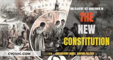 The New Constitution: Slavery's Abolition Examined