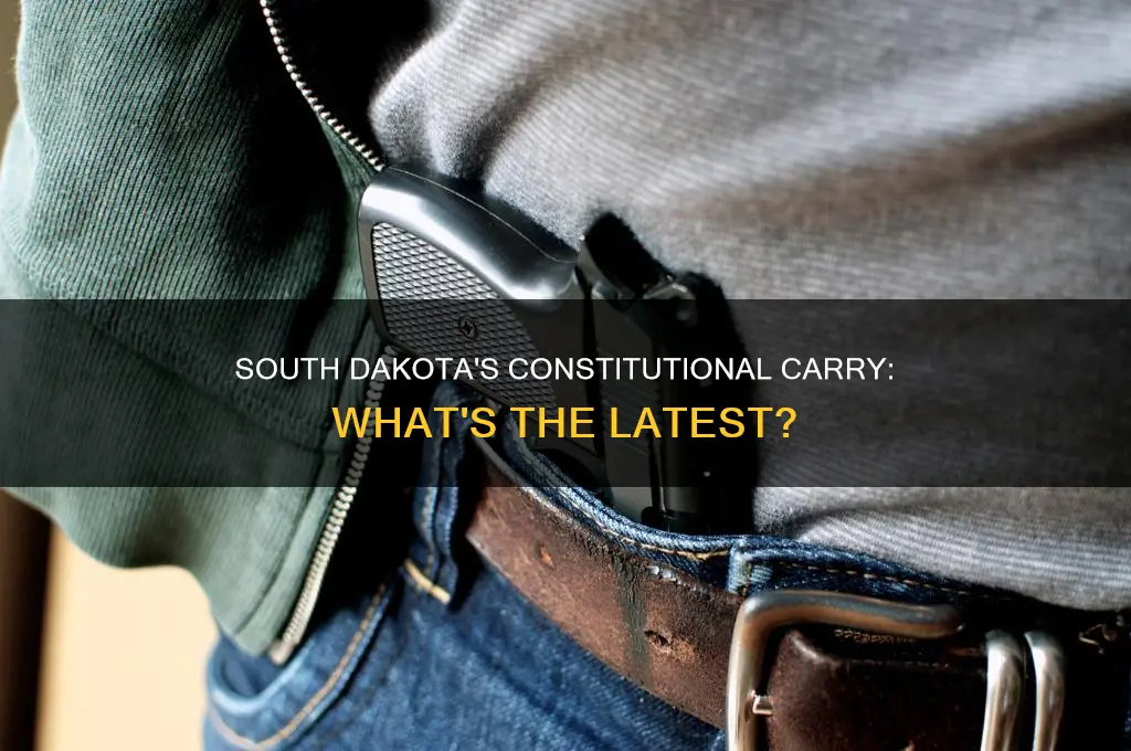 did south dakota pass constitutional carry