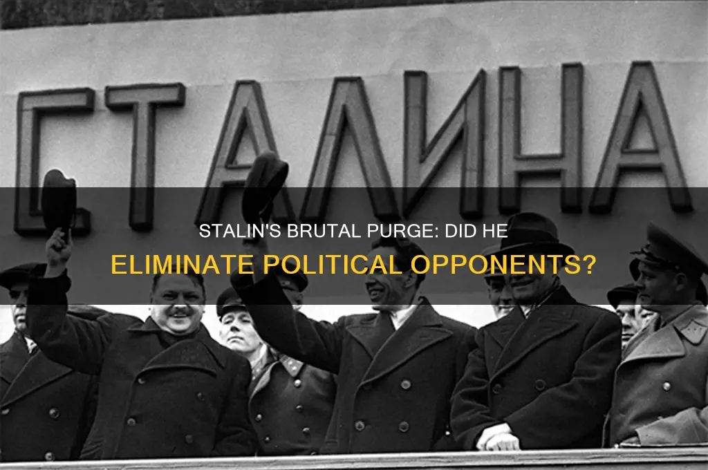 did stalin kill political opponents