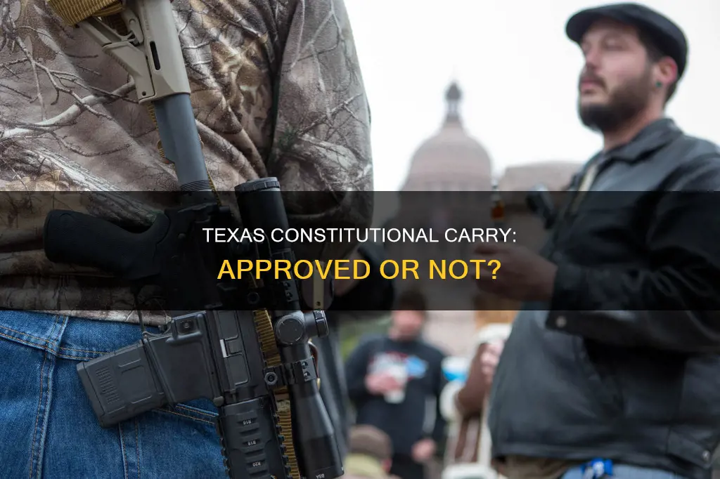 did texas approve constitutional carry