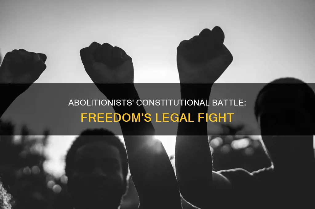 did the abolitionist movement see it as a constitutional issue