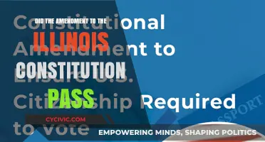 Illinois Constitution Amendment: What Was the Outcome?