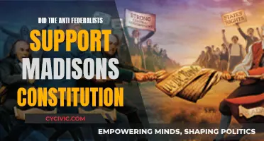 Madison's Constitution: Anti-Federalists' Support?