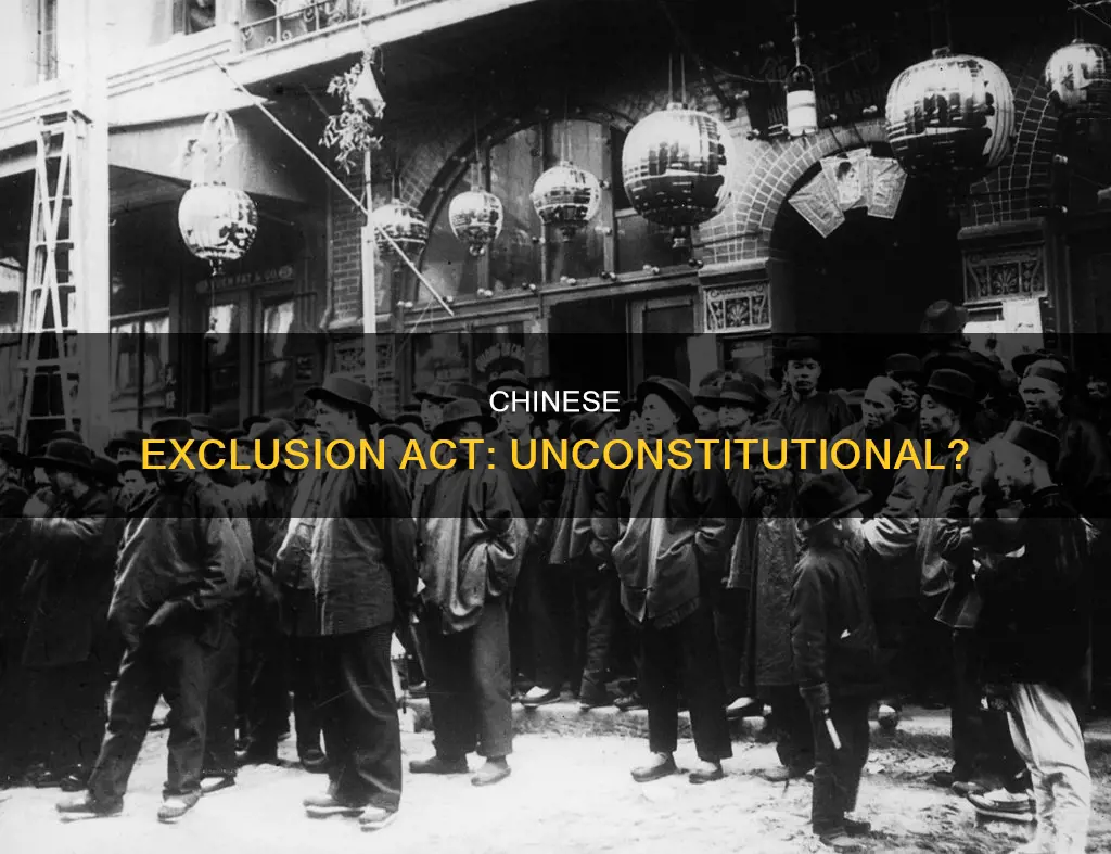 did the chinese exclusion act violate the constitution