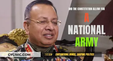 The Constitution and National Army: What's Allowed?