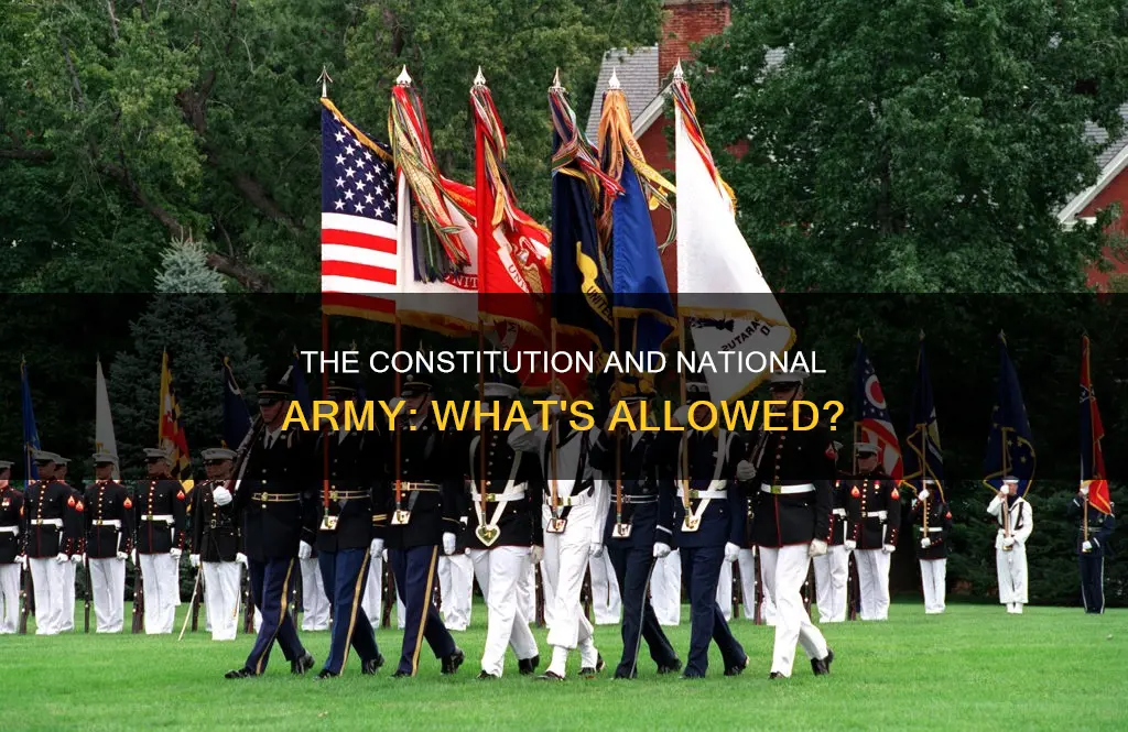did the constitution allow for a national army
