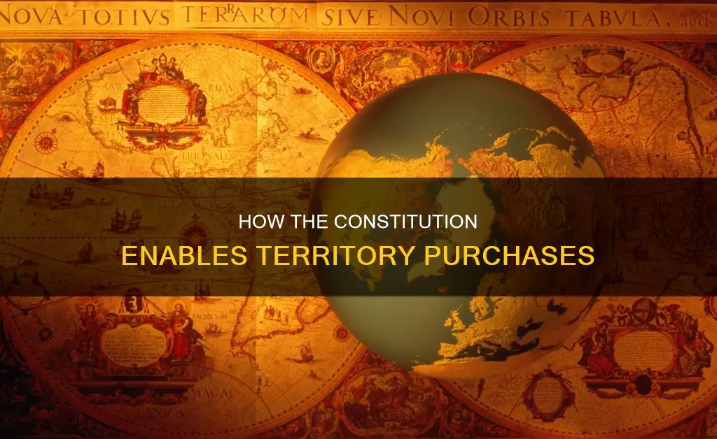 did the constitution allow for the purchase of new territory