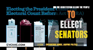 How Did The Constitution Change Senator Elections?