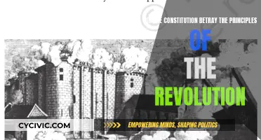 Revolution Betrayed: Constitution's Principles and the Forgotten Promise