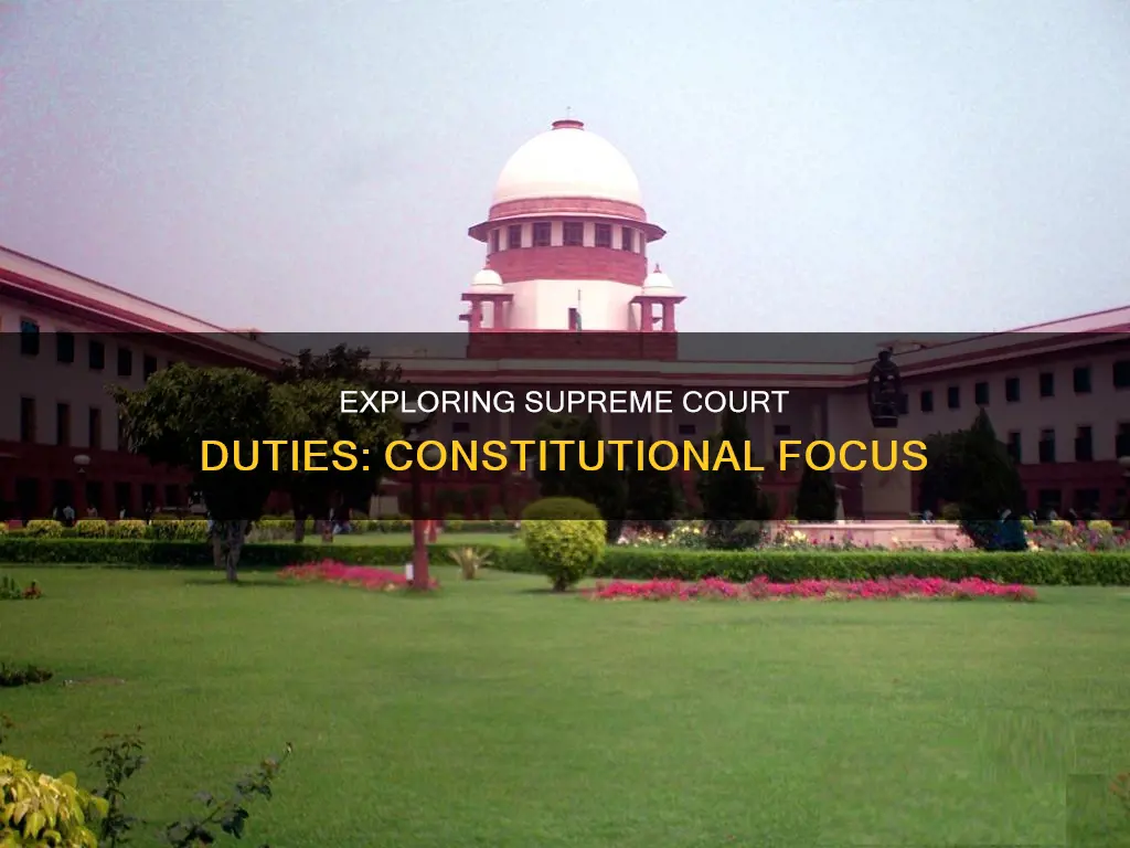 did the constitution describe the duties of the supreme court