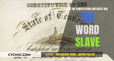 The Constitution's Omission: Slave or the Unspoken Word