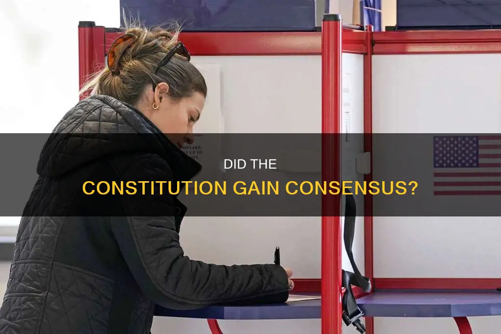 did the constitution have popular support voting records