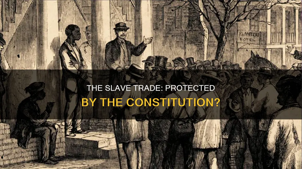 did the constitution protect the slave trade