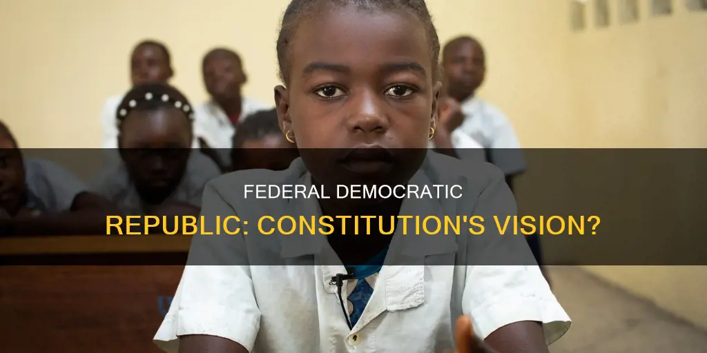 did the constitution set up a federal democratic republic
