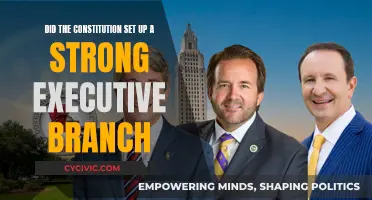 Executive Power: Did the Constitution Get It Right?