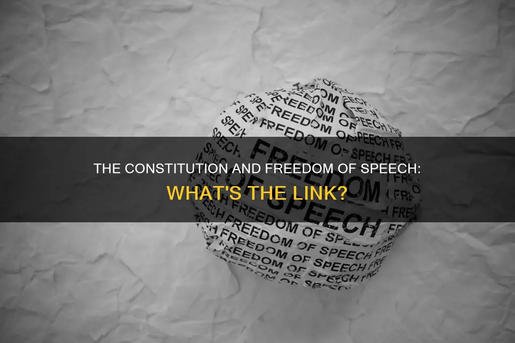 did the constitution talk about freedom of speech