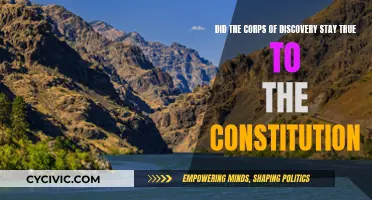 Discovery Corps: Constitution and Reality