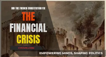 French Constitution: Financial Crisis Savior or Spectacle?