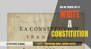 French Constitution Efforts: A Historical Perspective
