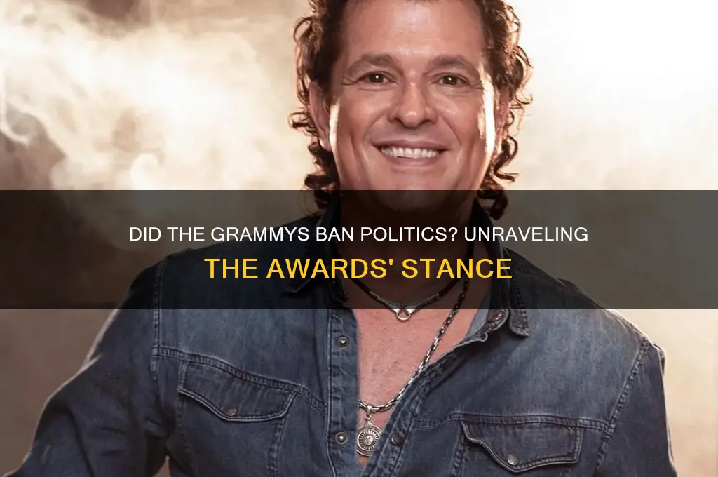 did the grammys ban politics