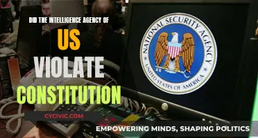 US Intelligence Agency: Constitutional Violators or Protectors?