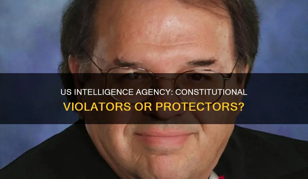 did the intelligence agency of us violate constitution