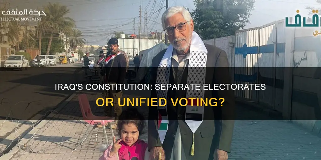 did the iraqi constitution call for separate electorates