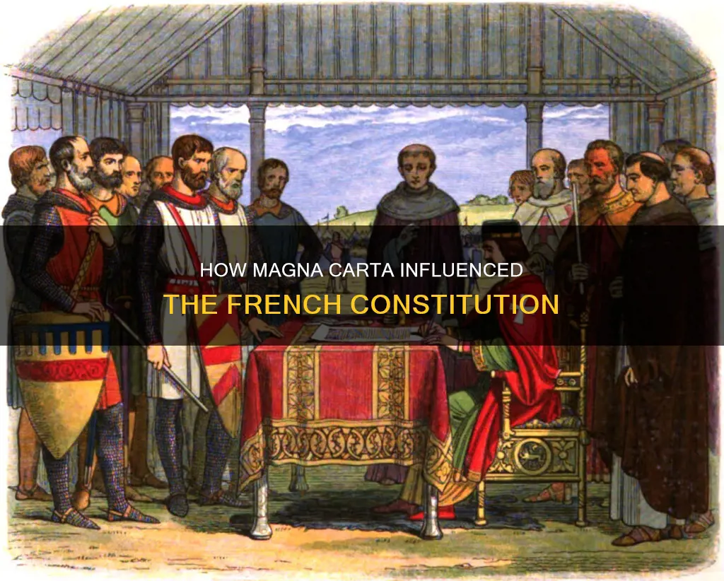 did the magna carta help make the french constitution