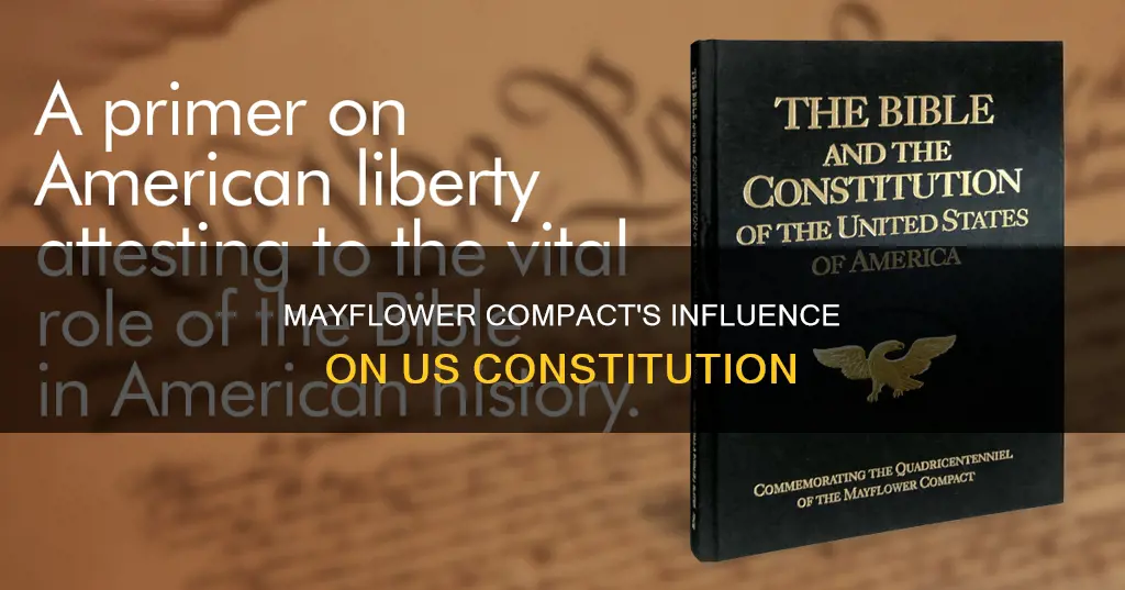 did the mayflower compact influence the ys constitution
