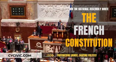 The National Assembly's Role in Shaping France's Constitution