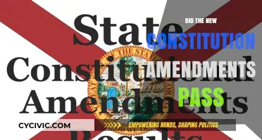 Constitutional Amendments: What Passed and What Didn't