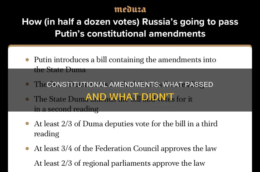 did the new constitutional amendments pass