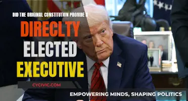 The Executive: Directly Elected Under the Original Constitution?