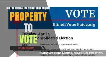 Property and Voting: The Original US Constitution