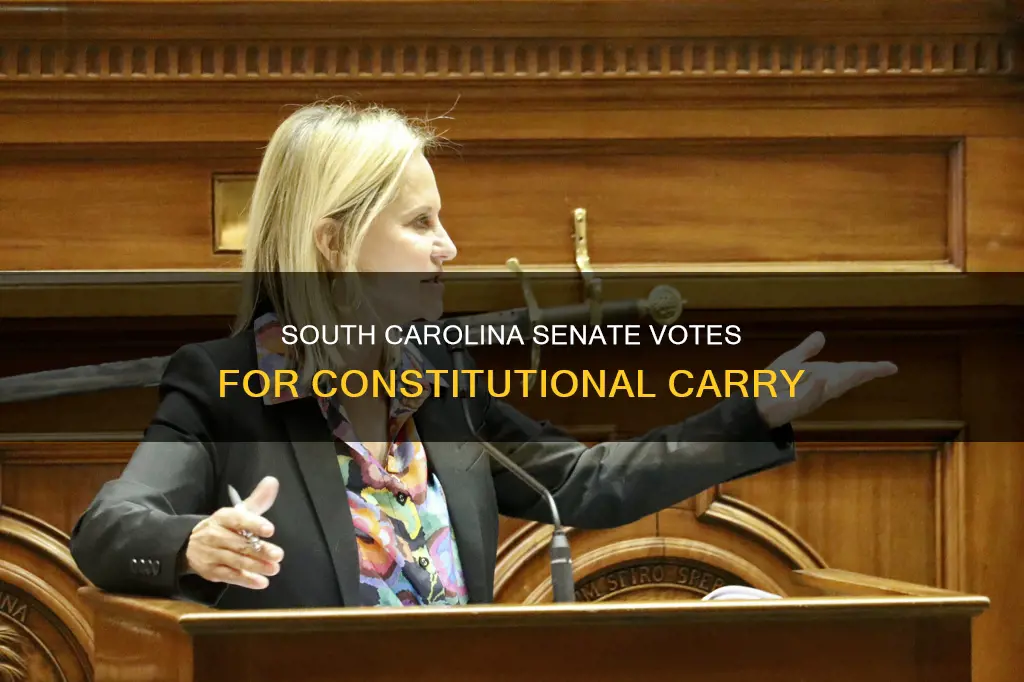 did the senate vote for constitutional carry in south carolina