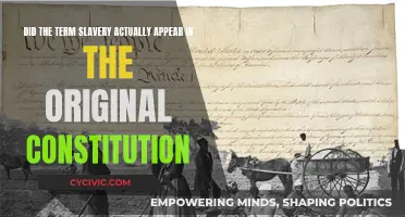 The Constitution's Slavery: A Hidden Truth?