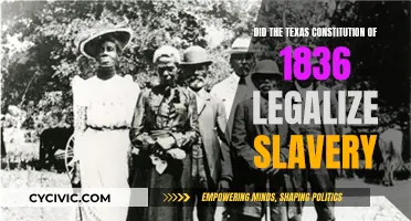 Texas Constitution of 1836: Legalizing Slavery?