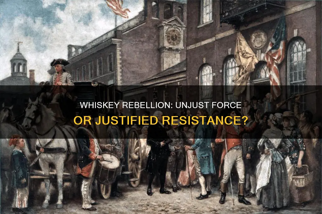 did the whiskey rebellion constitute for undue force