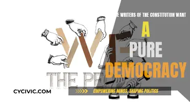 Exploring Democracy Intentions of Constitution Writers
