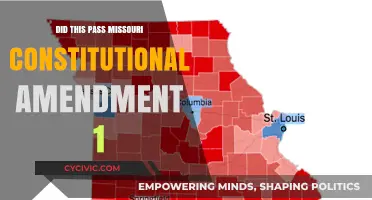 Missouri's Amendment 1: What's Next?