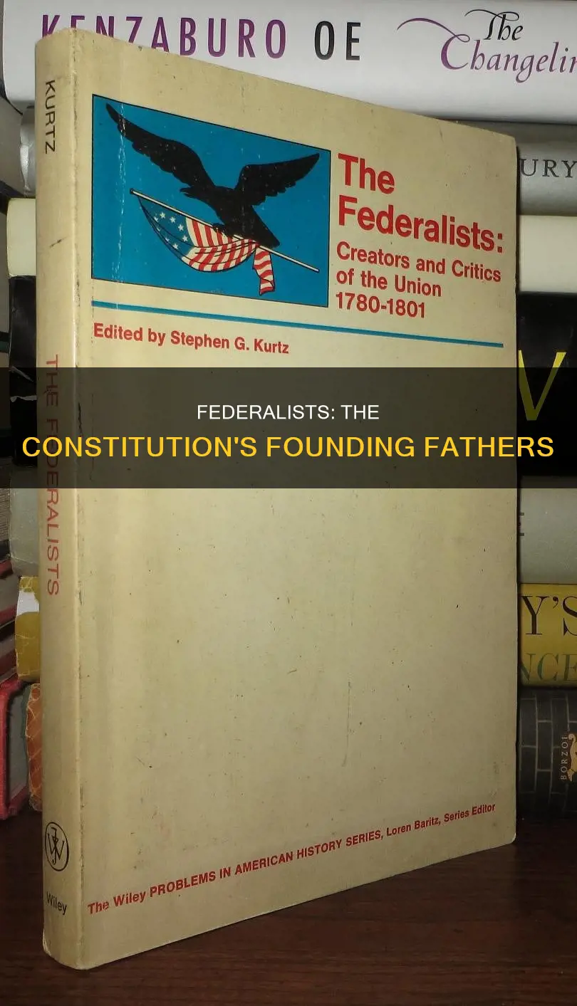 did those who pushed ratification of the constitution call themselves