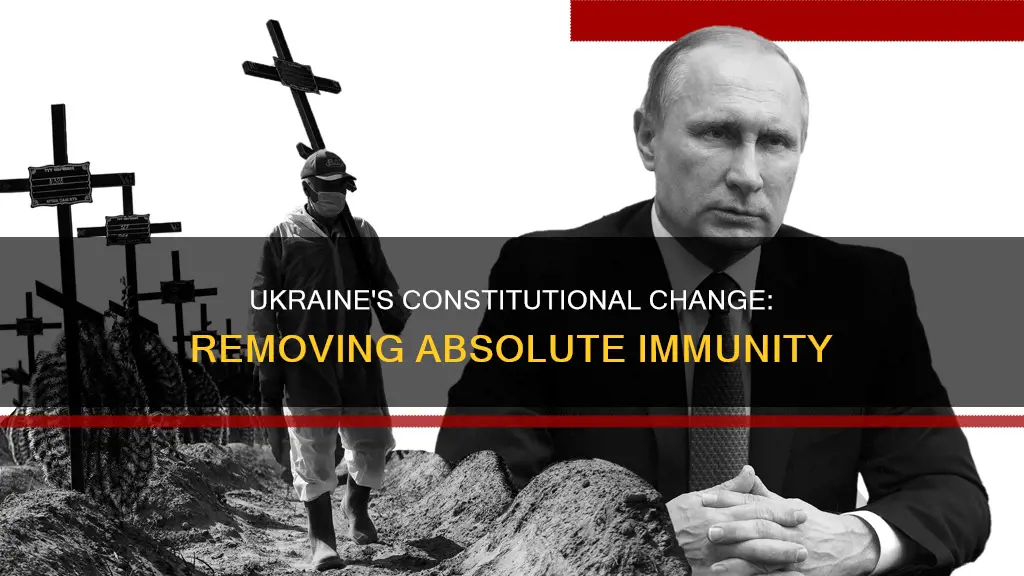 did ukraine remove absolute immunity from their constitution