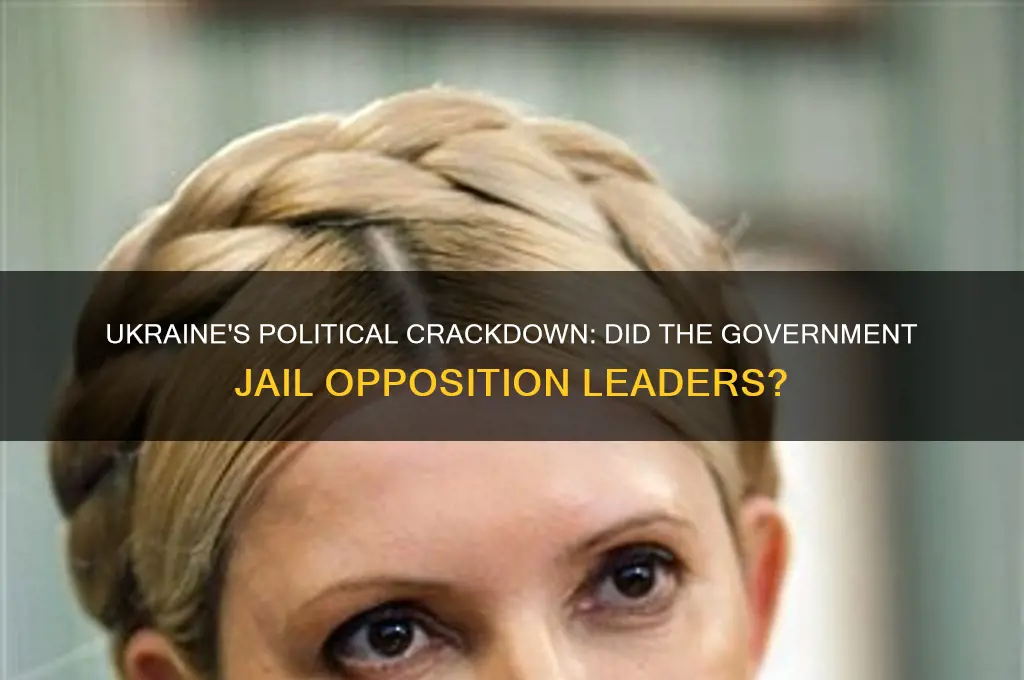 did ukranes government jail the opposing political party