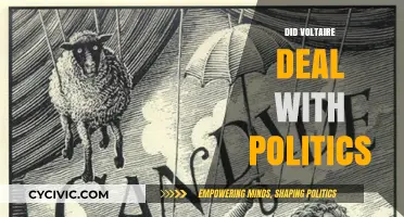 Voltaire's Political Engagement: Satire, Philosophy, and Power Dynamics Explored