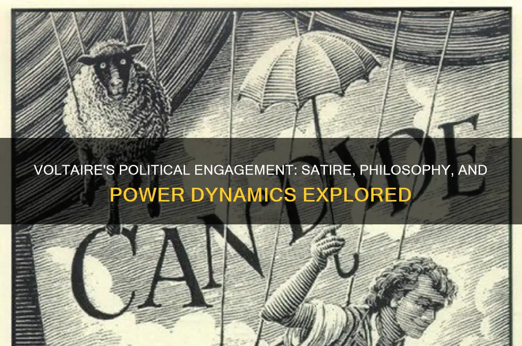 did voltaire deal with politics